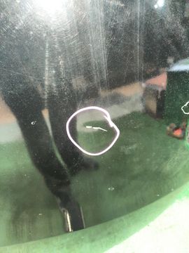 КАПОТ НА TOYOTA WISH ZGE20