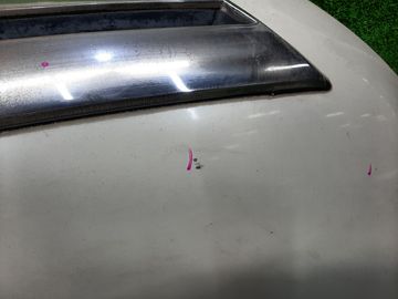КАПОТ НА NISSAN PRESAGE U31