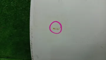 ДВЕРЬ НА TOYOTA COROLLA  AXIO NZE141