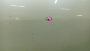 ДВЕРЬ НА TOYOTA COROLLA  AXIO NZE141
