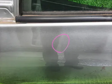 ДВЕРЬ НА TOYOTA COROLLA FIELDER NZE144G