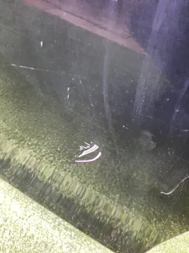 ДВЕРЬ НА TOYOTA COROLLA FIELDER NZE141G