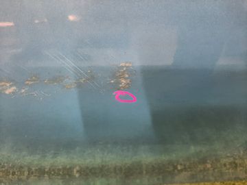 ДВЕРЬ НА TOYOTA VITZ KSP130