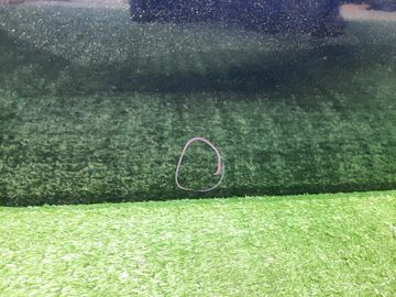 ДВЕРЬ НА NISSAN AVENIR W10