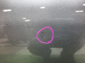 ДВЕРЬ НА MAZDA AXELA BLEFP