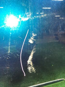 ДВЕРЬ НА TOYOTA COROLLA FIELDER ZZE122G