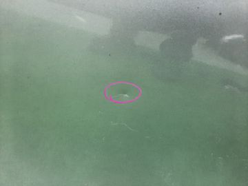 ДВЕРЬ НА TOYOTA FIELDER ZRE142