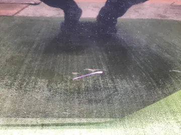 ДВЕРЬ НА MAZDA ATENZA GH5FP