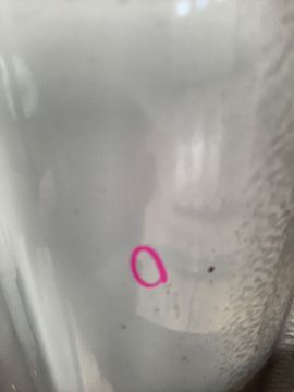 ДВЕРЬ НА TOYOTA ESTIMA ACR30W