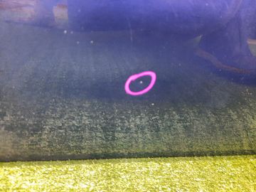 ДВЕРЬ НА NISSAN AVENIR W11