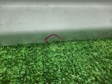 ДВЕРЬ НА TOYOTA COROLLA  AXIO NKE165