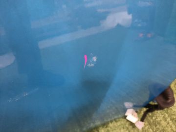 ДВЕРЬ НА TOYOTA PASSO M700A