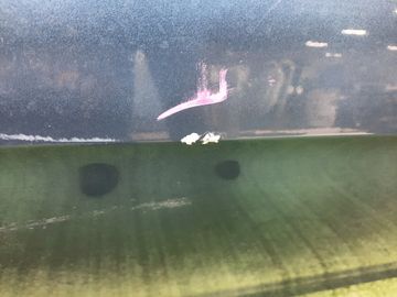 ДВЕРЬ НА VOLKSWAGEN GOLF 5G1