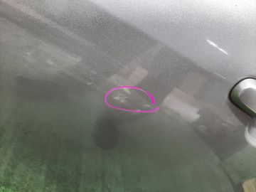 ДВЕРЬ НА TOYOTA COROLLA NZE121