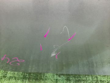 ДВЕРЬ НА MAZDA MPV LW3W