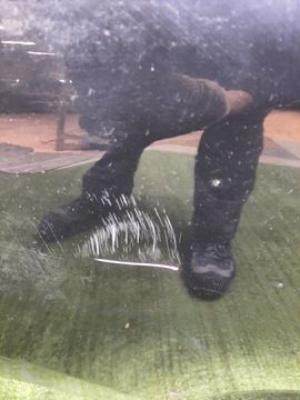 ДВЕРЬ НА TOYOTA RAV4 ACA31