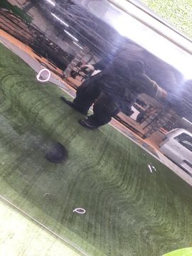 ДВЕРЬ НА TOYOTA VELLFIRE AGH35W