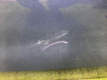 ДВЕРЬ НА MAZDA MPV LWFW