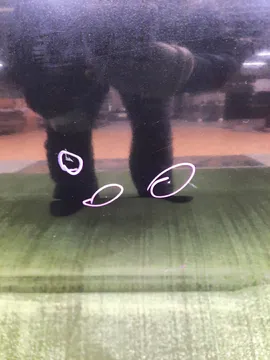 ДВЕРЬ НА TOYOTA COROLLA FIELDER NZE141G