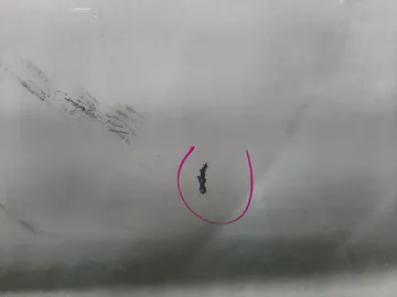 ДВЕРЬ НА TOYOTA SIENTA NSP170G