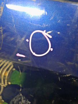 ДВЕРЬ НА HONDA FREED GB5