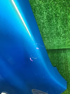 КРЫЛО НА NISSAN NOTE E11