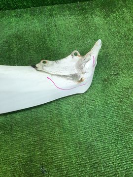 КРЫЛО НА MITSUBISHI LIBERO CD2V