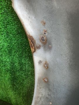 КРЫЛО НА TOYOTA CORSA EL55