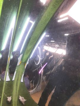 КРЫЛО НА MITSUBISHI OUTLANDER CW5W