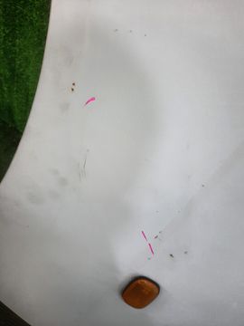 КРЫЛО НА TOYOTA TOWNACE CR51