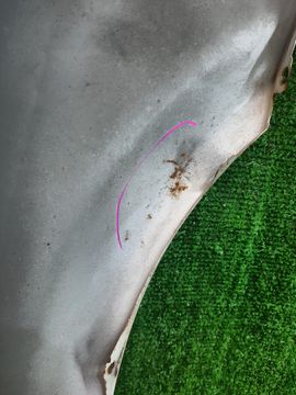 КРЫЛО НА HONDA TORNEO CF4