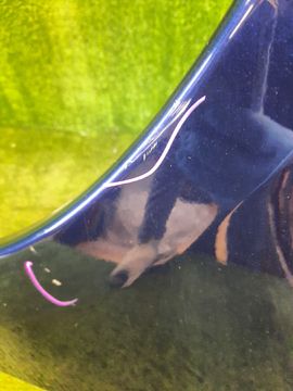 КРЫЛО НА SUBARU LEGACY BP5