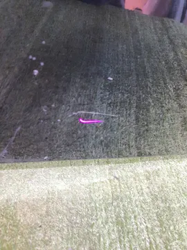 КРЫЛО НА VOLVO V50 MW43