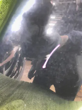 КРЫЛО НА TOYOTA WISH ZGE20G