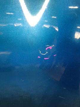 КРЫЛО НА TOYOTA AQUA NHP10