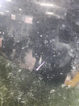 КРЫЛО НА TOYOTA COROLLA FIELDER ZRE142G