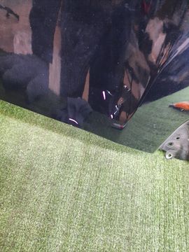 КРЫЛО НА SUBARU LEVORG VM4