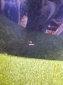 КРЫЛО НА TOYOTA COROLLA FIELDER ZRE142G