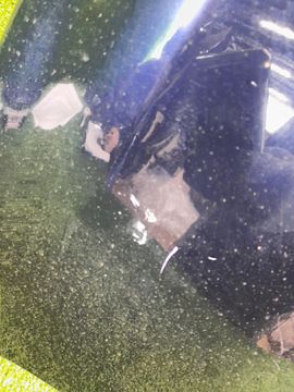 КРЫЛО НА TOYOTA COROLLA FIELDER NZE141G