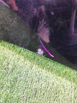 КРЫЛО НА NISSAN CUBE Z10