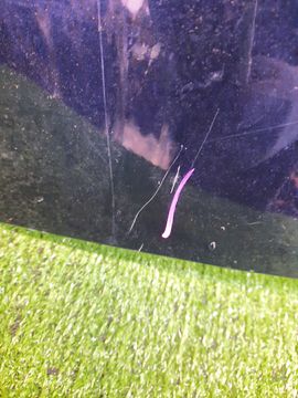 КРЫЛО НА TOYOTA COROLLA FIELDER ZRE142G