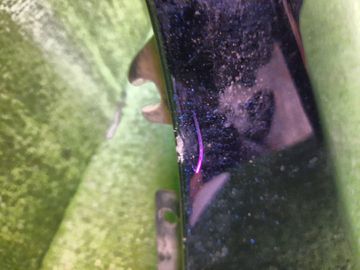 КРЫЛО НА BMW 5-SERIES E60