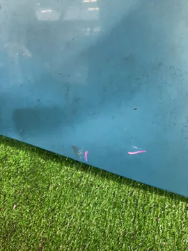 КРЫЛО НА TOYOTA PASSO KGC10