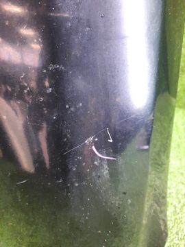 КРЫЛО НА HONDA ACCORD CF6