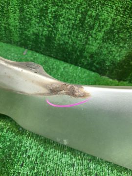 КРЫЛО НА HONDA STREAM RN1