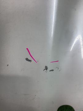 КРЫЛО НА HONDA CIVIC FD1