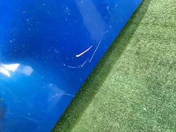 КРЫЛО НА SUBARU IMPREZA GGA