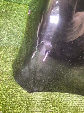 КРЫЛО НА NISSAN DUALIS J10