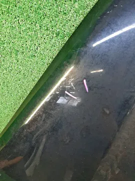 КРЫЛО НА TOYOTA WISH ZGE20G