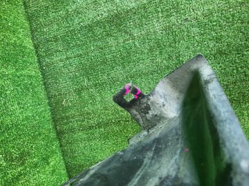 ЗАЩИТА ПОД КРЫЛО НА TOYOTA COROLLA FIELDER ZRE142G